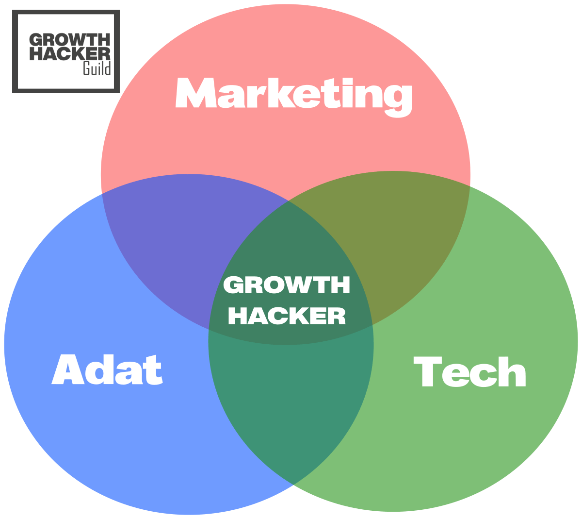 growth hacker